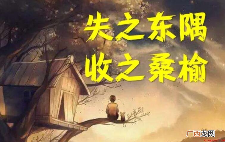 失之东隅收之桑榆是什么意思