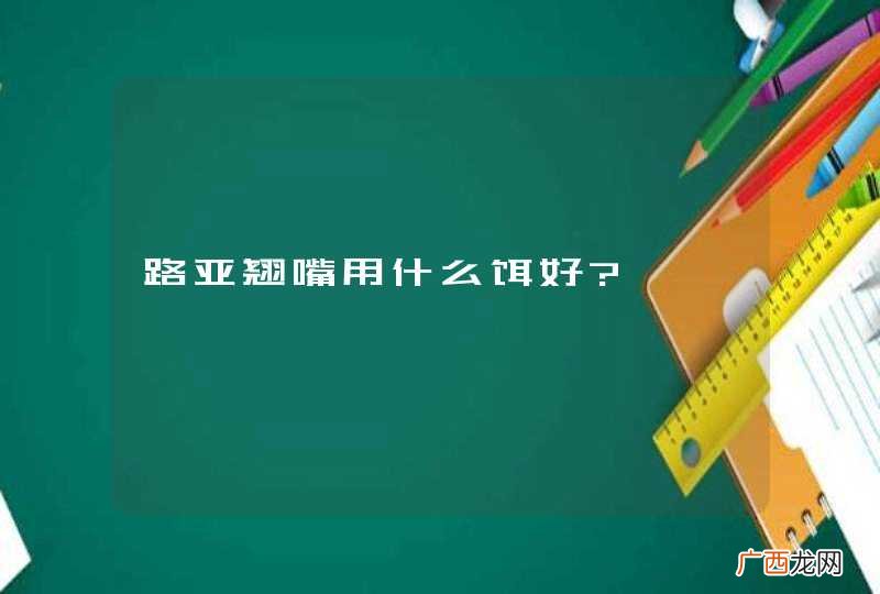 路亚翘嘴用什么饵好?