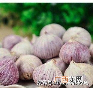 含硒的蔬菜,含硒第一名的蘑菇？