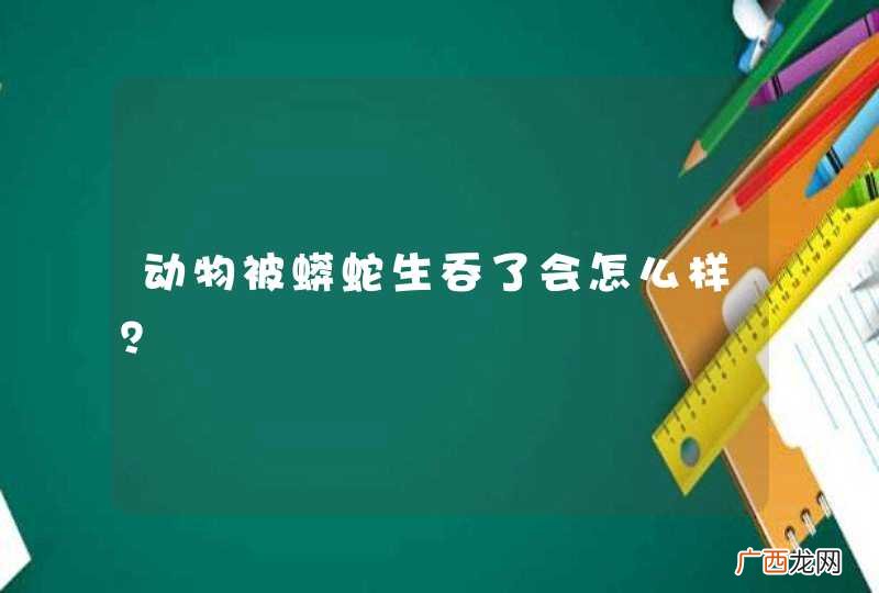 动物被蟒蛇生吞了会怎么样？