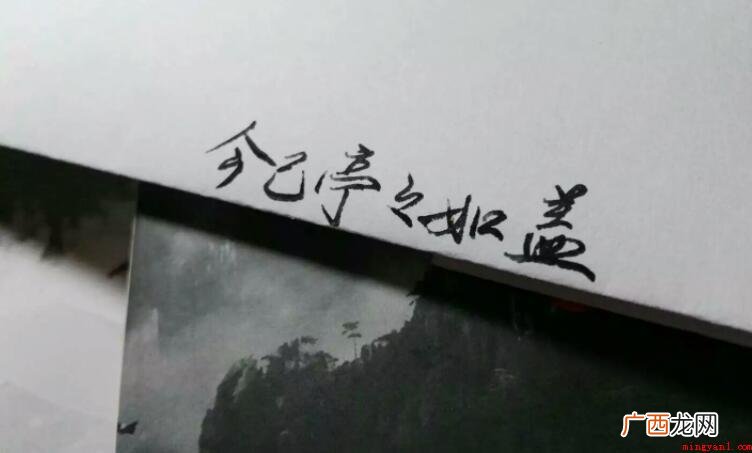 今已亭亭如盖矣是什么意思