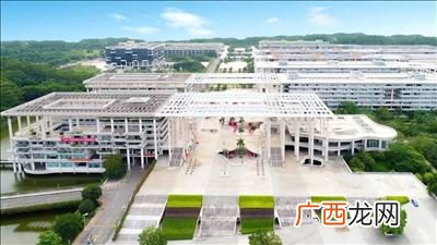 高水平大学有哪些学校,区域知名和高水平大学哪个更优秀？