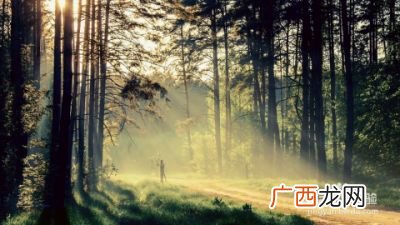 怎样才能习惯孤独,如何才能习惯孤独？