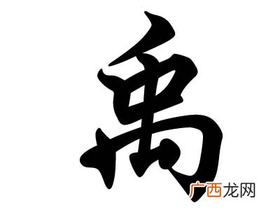 禹姓历史名人,夏朝第12位君主囧，生平介绍？