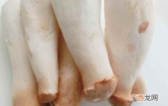 孕妇可以吃鸡腿菇吗