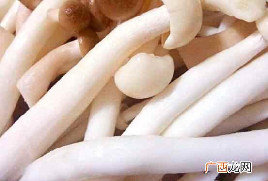 减肥期间可不可以吃鸡腿菇 减肥能吃鸡腿菇吗