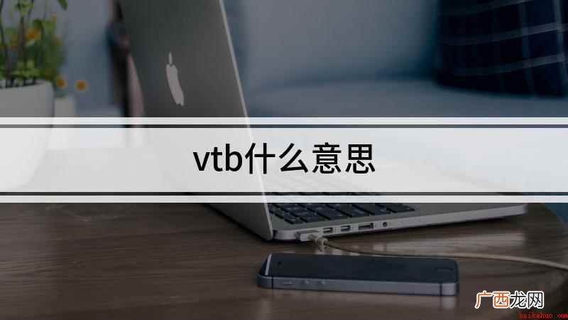 VirtualYouTuber是什么意思 vtb