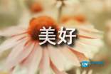 美好的回忆词语,可以表达曾经美好回忆的词?