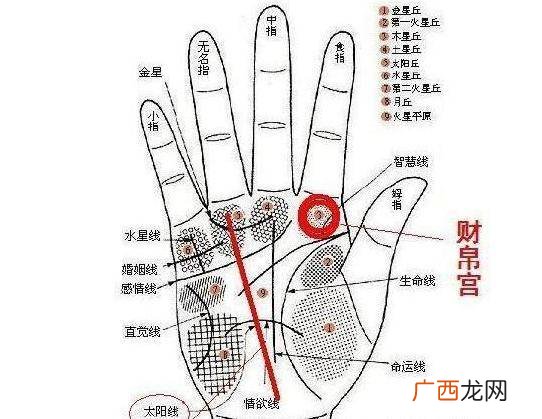 甬道是指人哪个部位,关于曹植墓的传说？