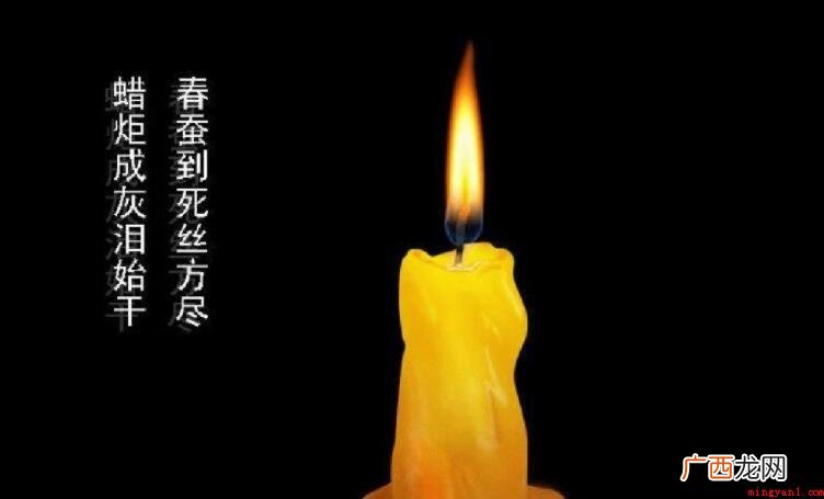 春蚕到死丝方尽蜡炬成灰泪始干的意思是什么