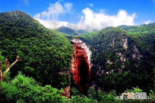 牝怎么读音,牝读音是什么意思？