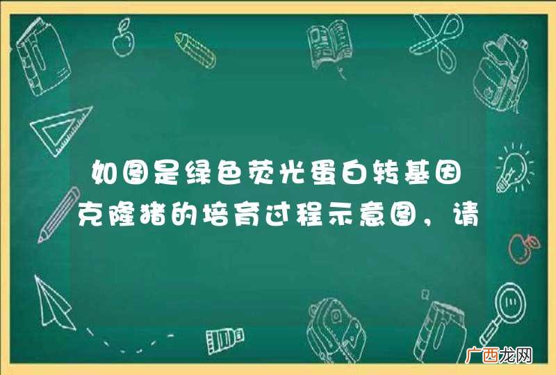 1 如图是绿色荧光蛋白转基因克隆猪的培育过程示意图，请据图同答：分析可知，科学家获取绿色荧光蛋白