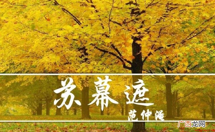 《苏幕遮·怀旧》的作者是谁