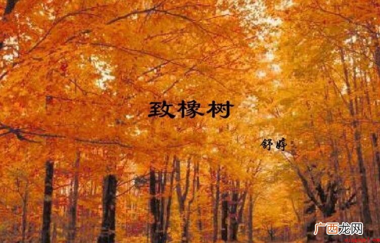 《致橡树》的爱情观是什么