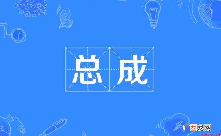 总成是什么意思
