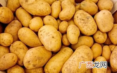 土豆产地在哪里,全国有多少省份种植土豆？
