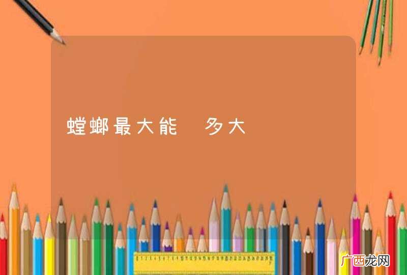 螳螂最大能长多大