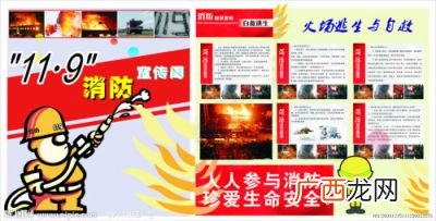我国每年的消防活动日是哪天,全国消防安全教育宣传日?