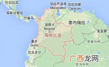巴西属于什么洲国家,巴西洲的面积?