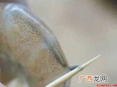 吃虾怎么样去虾线