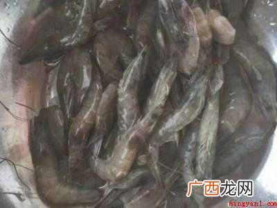 吃虾怎么样去虾线
