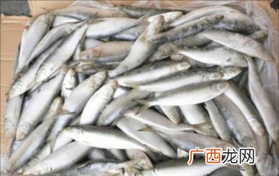 沙丁鱼怎么做好吃,沙丁鱼的吃法？