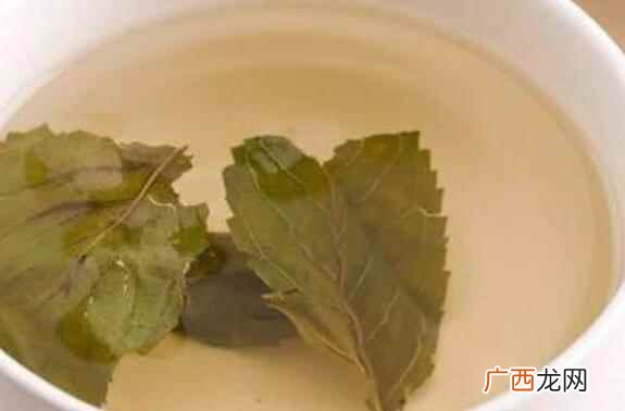 新鲜荷叶能泡水喝吗