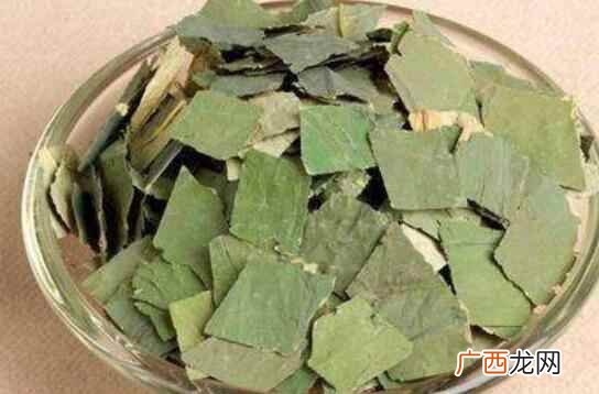 孕妇可以吃荷叶吗