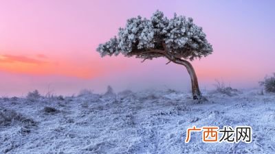 月明星稀乌鹊南飞意思,“月明星稀，乌鹊南飞”是什么样意思？