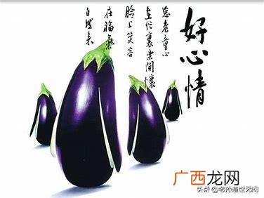 人生赢家啥意思,什么才是人生赢家？