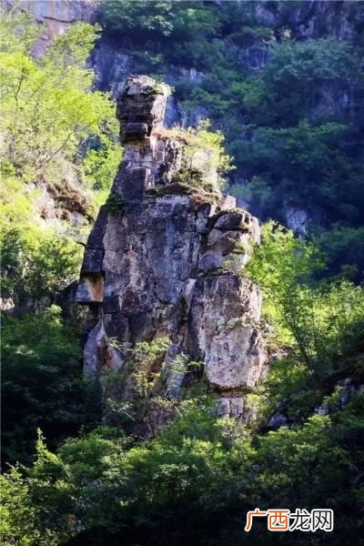 仙人指路是什么,仙人指路中仙人动作的词语？
