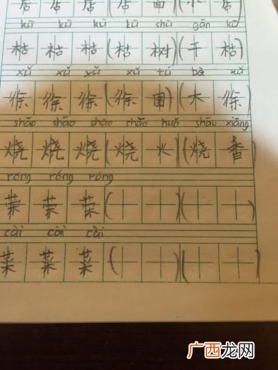 荣字怎么组词,荣组词有哪些词语？