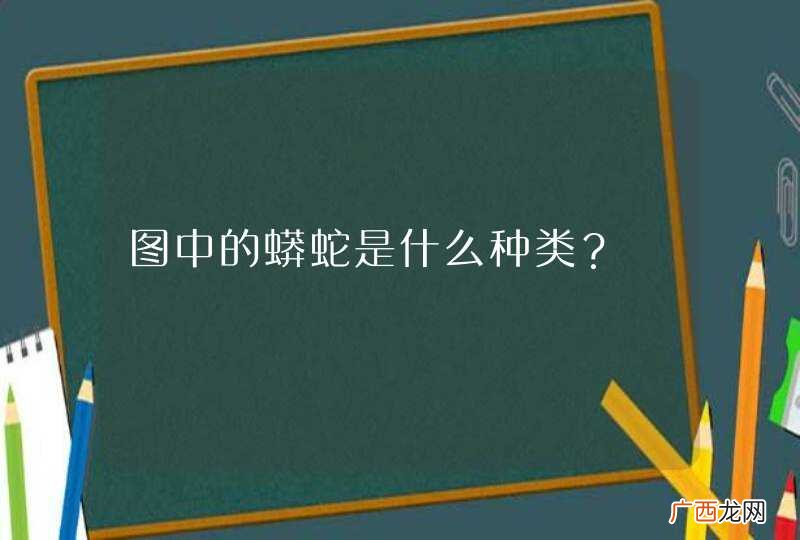 图中的蟒蛇是什么种类？