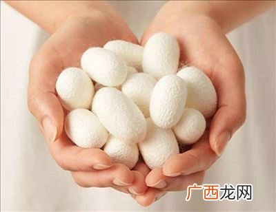 什么是蚕丝蛋白,蚕丝蛋白是什么？