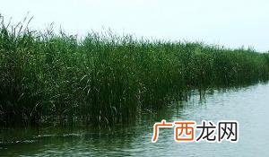 五湖在哪个省哪个市,五湖是指哪五湖？