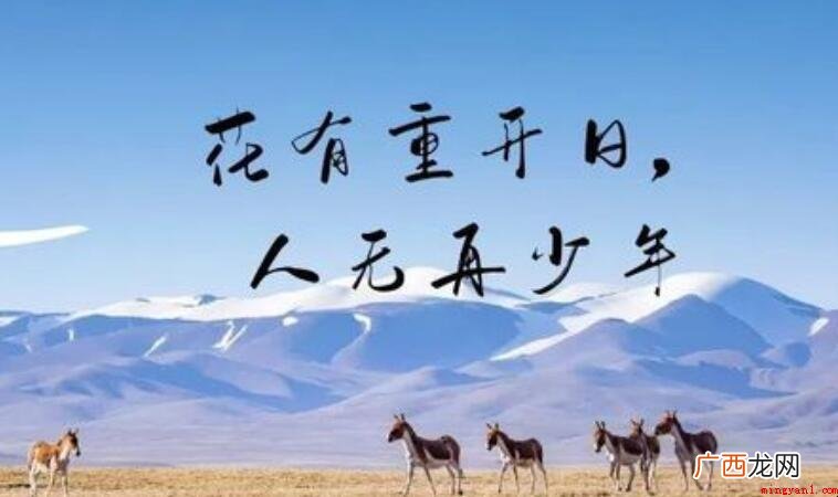 花有重开日人无再少年出自哪首诗