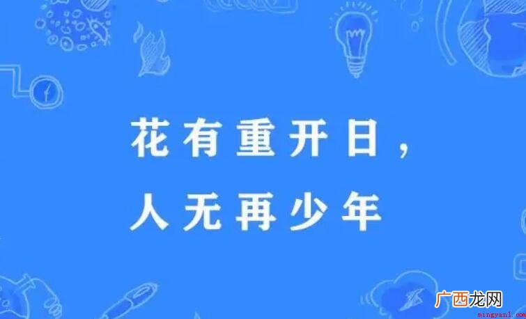 花有重开日人无再少年的意思是什么
