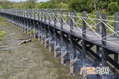 拱桥又哪些主要部分组成,桁架拱桥和刚架拱桥的区别？