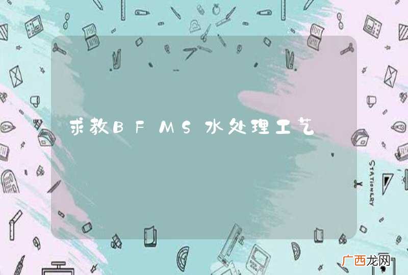 求教BFMS水处理工艺
