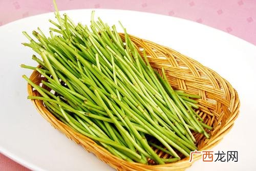 蒌蒿是什么,蒌蒿为什么是一种植物？