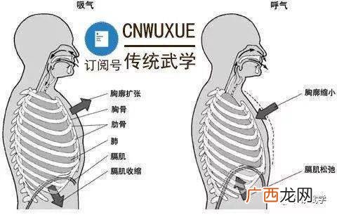 如何练气沉入丹田,正确的吐纳方式怎么做？