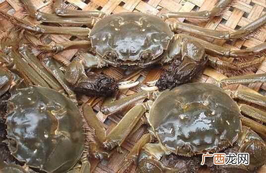 大闸蟹是什么