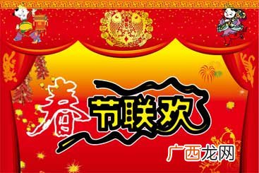 春节联欢晚会的英文,春晚英文要加the吗？