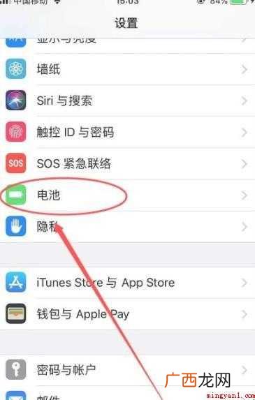 iPhone手机电池寿命在哪看 苹果电池寿命在哪看