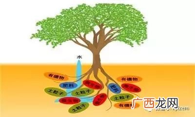 腐生性微生物,腐生性微生物的特征是？