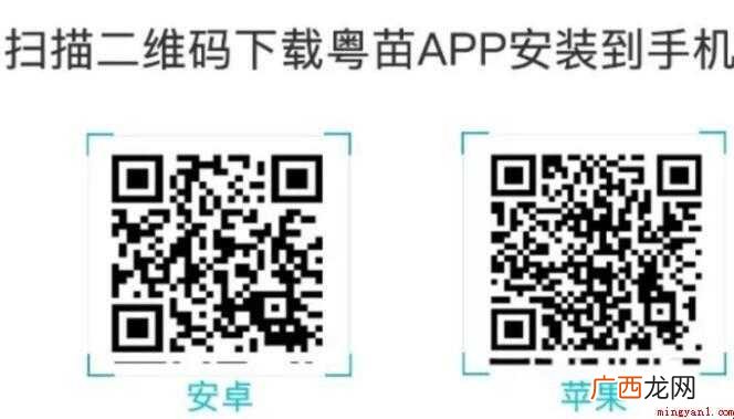 广州新冠疫苗接种记录如何查询