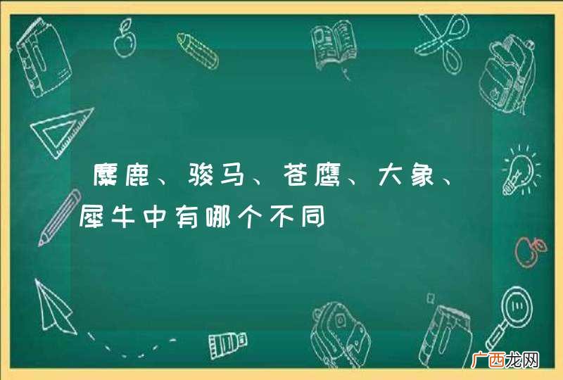 麋鹿、骏马、苍鹰、大象、犀牛中有哪个不同