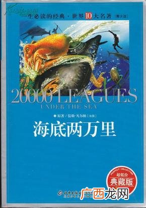 怎样评价海底两万里中的人物,怎样评价《海底两万里》中的人物？