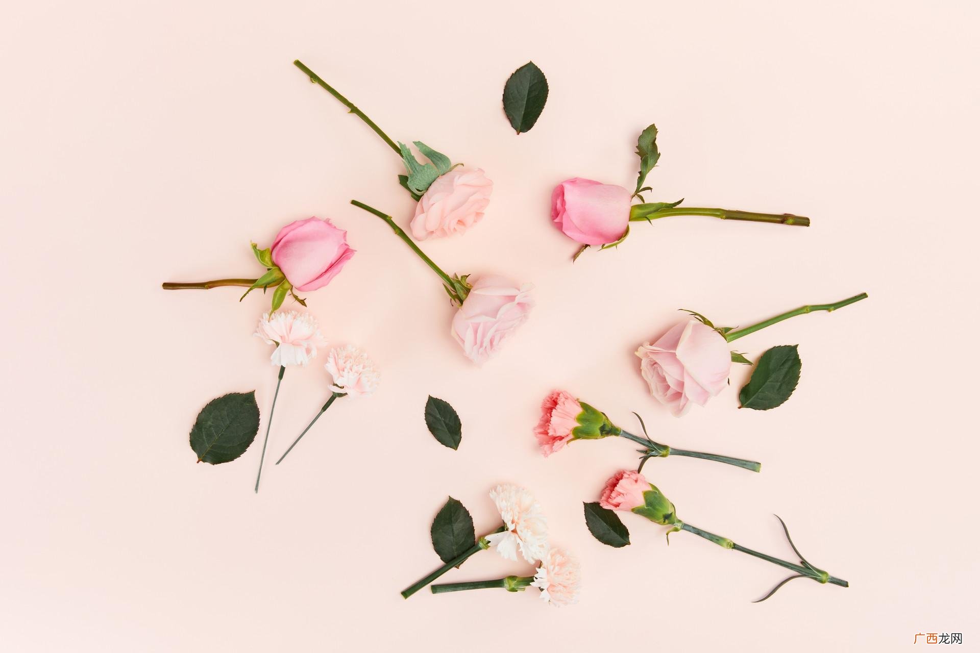 女人总是遇到烂桃花的原因 女人烂桃花多说明什么意思了