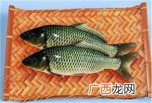 鲫鱼有几种类型,鲫鱼类型？